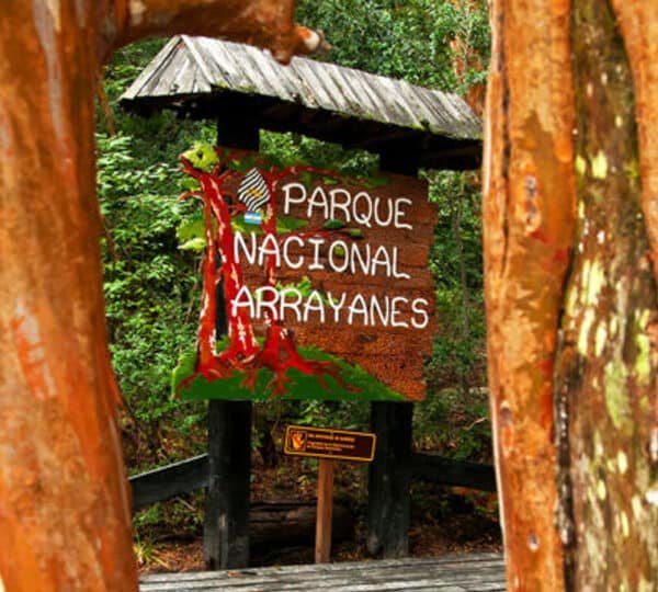 Navegação à Ilha Victoria e Bosque de Arrayanes