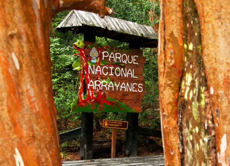 Navegação à Ilha Victoria e Bosque de Arrayanes