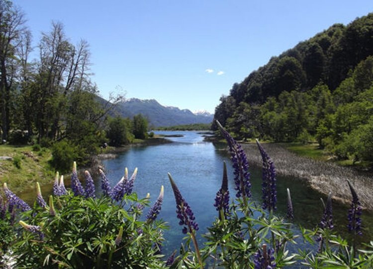 Caminho dos Sete Lagos até Bariloche