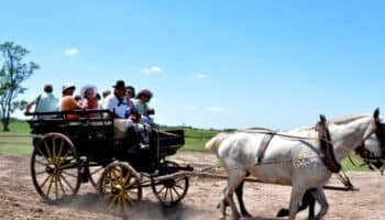 Festa Gaucha – Estância Santa Suzana