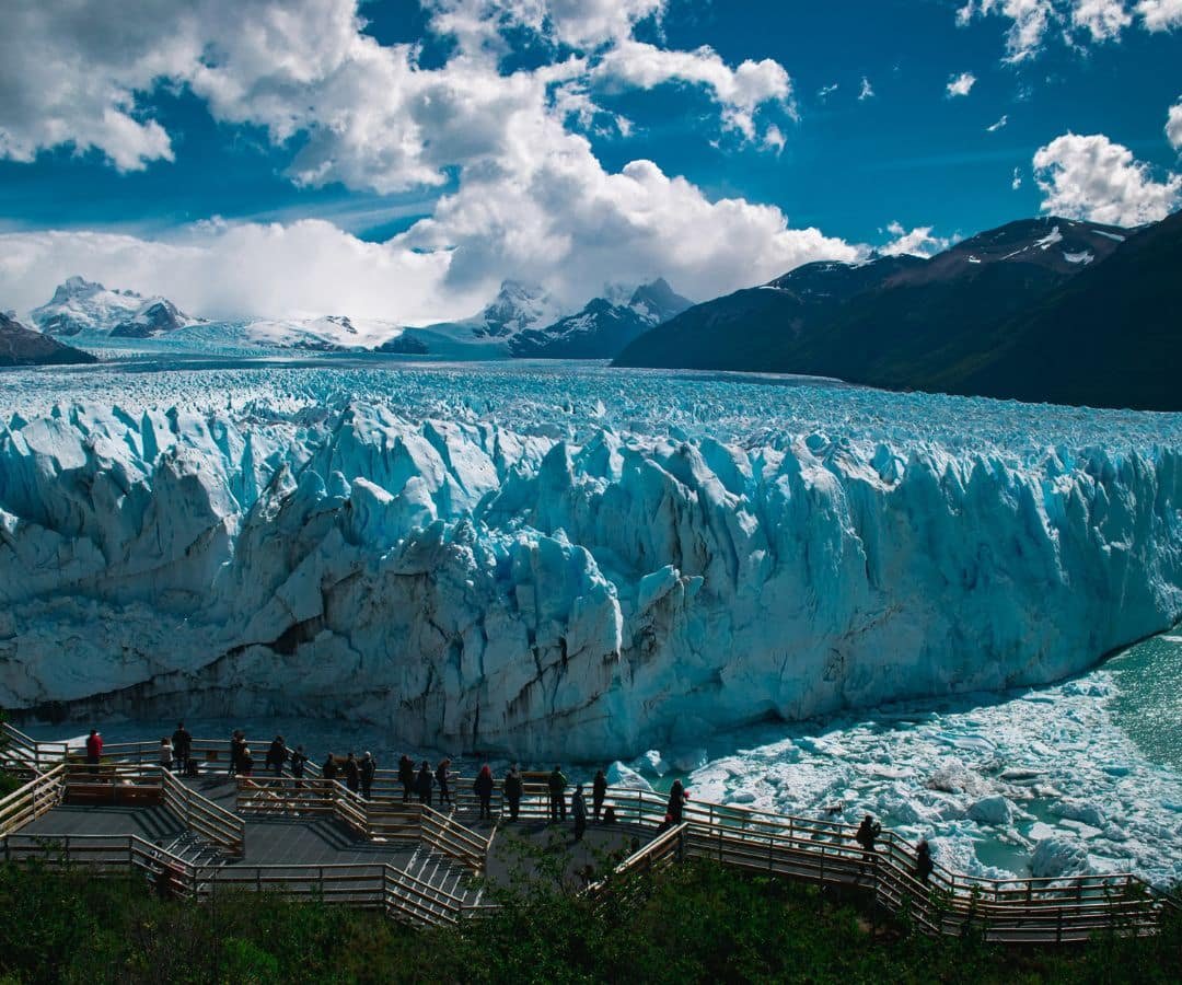 El calafate